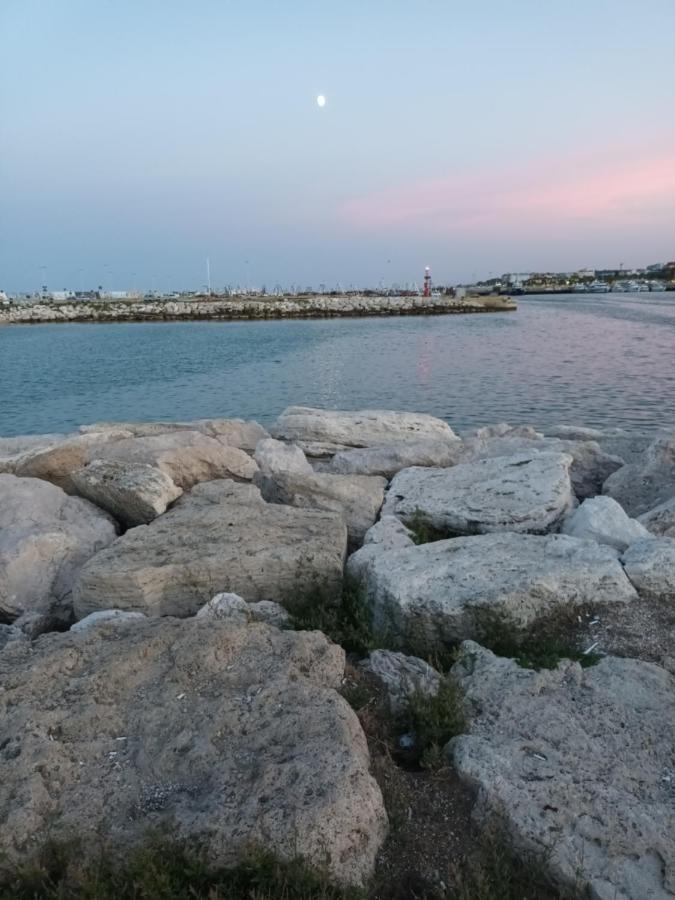 Bouganville A Apartament B&B Civitanova Marche Esterno foto