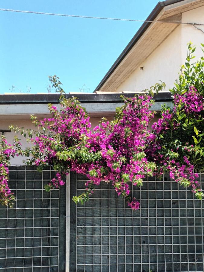 Bouganville A Apartament B&B Civitanova Marche Esterno foto